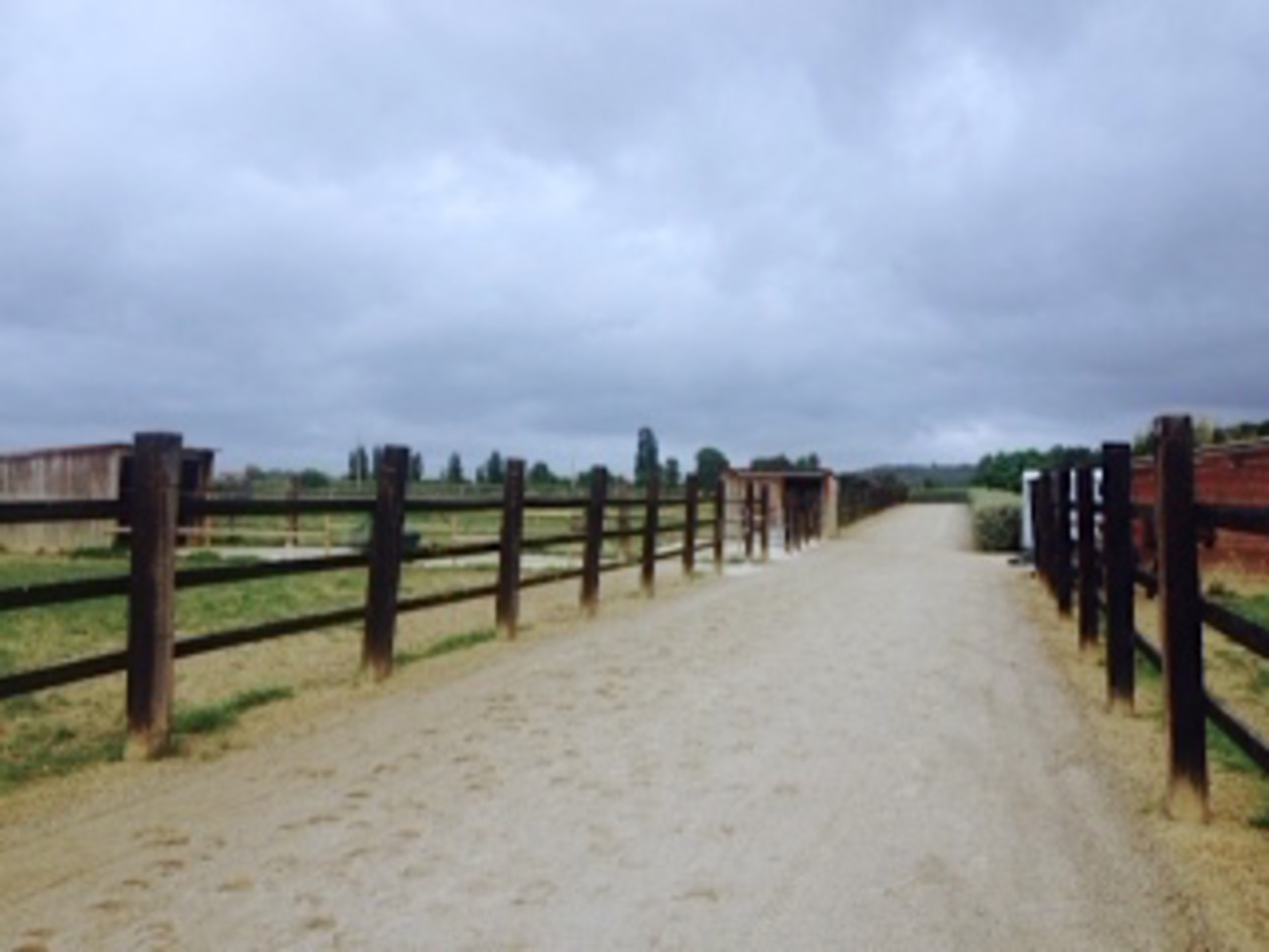 Photos 18 - Equestrian - Very beautiful equestrian property with mansion between TOULOUSE AND BORDEAUX