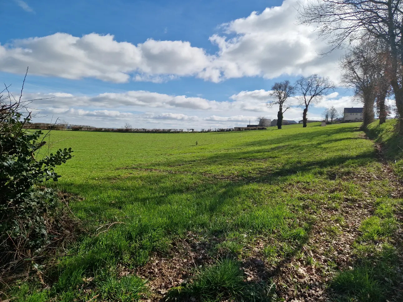 Photos 1 - Foncière - Parcelles rurales - Secteur CASTANET (12)