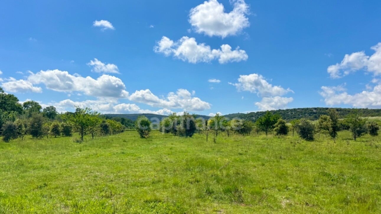 Photos 1 - Foncière - Dpt Hérault (34), à vendre MONTARNAUD terrain