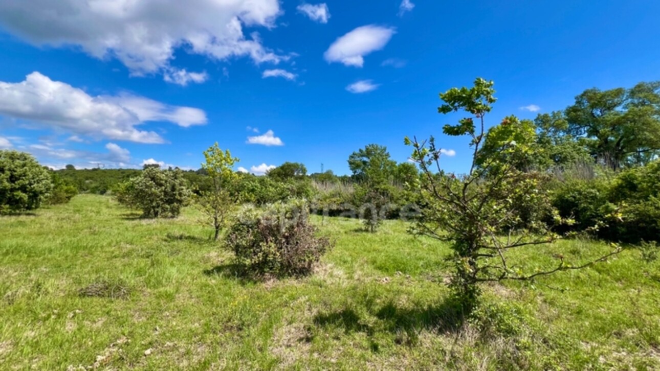 Photos 4 - Land - Dpt Hérault (34), for sale MONTARNAUD land