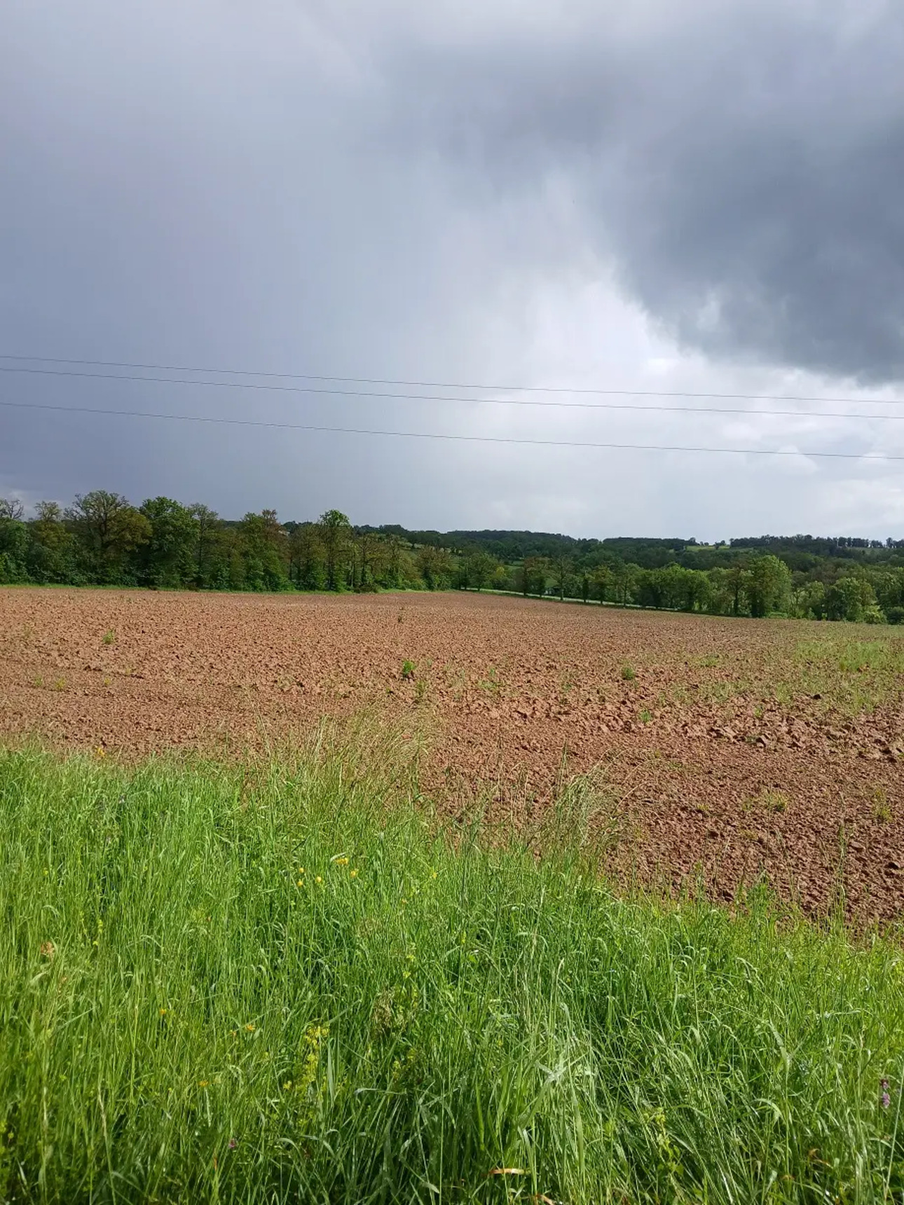 Photos 9 - Agricole - Exploitation agricole de 75 hectares