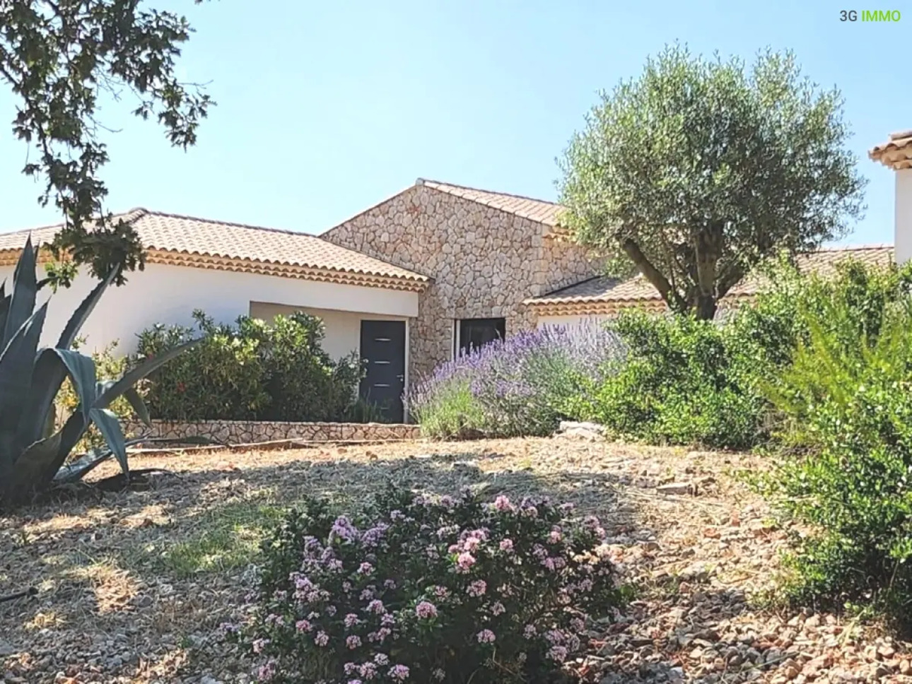 Photos 1 - Vineyard - VAR - TOURVES DOMINANT CONTEMPORARY VILLA 2 HECTARES IDEAL FOR DOG BREEDING