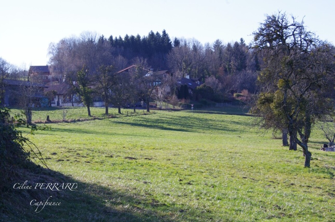 Photos 2 - Touristique - Dpt 74, à vendre corps de ferme avec terrain, au calme avec vue lac