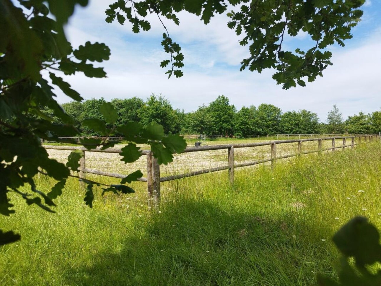 Photos 4 - Equestrian - Property