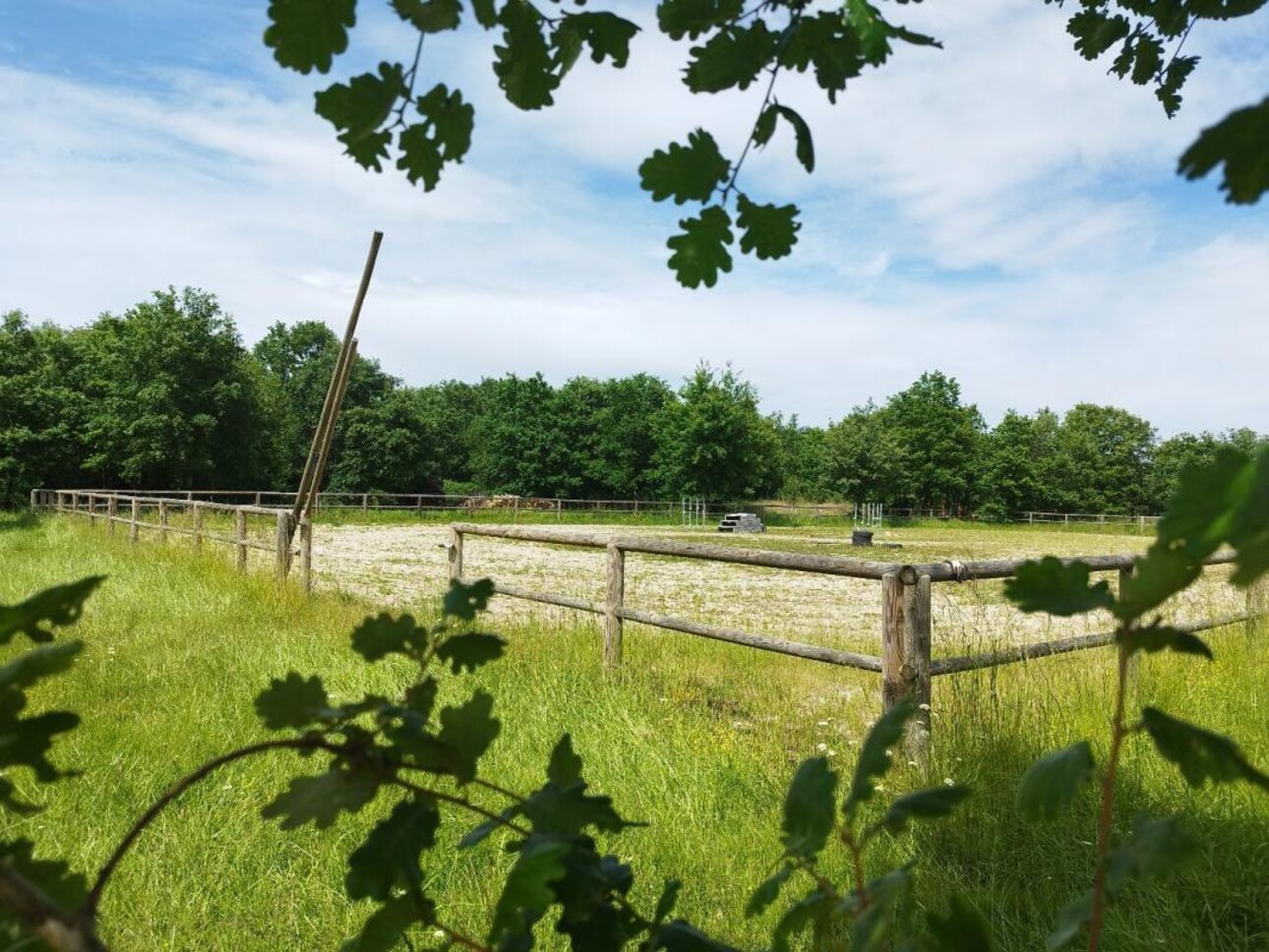 Photos 18 - Equestrian - Property