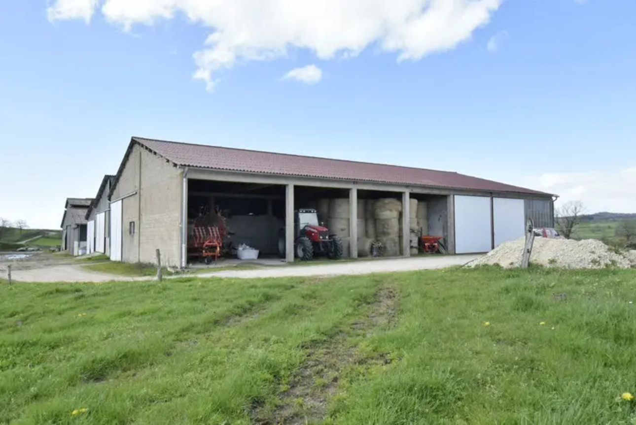 Photos 7 - Agricole - BELLE FERME RÉNOVÉE SUR 8 HA