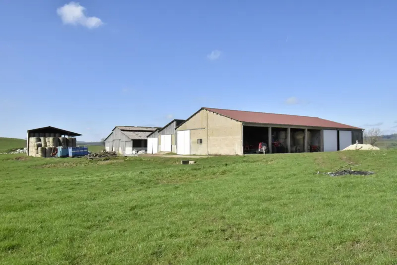 Photos 8 - Agricole - BELLE FERME RÉNOVÉE SUR 8 HA