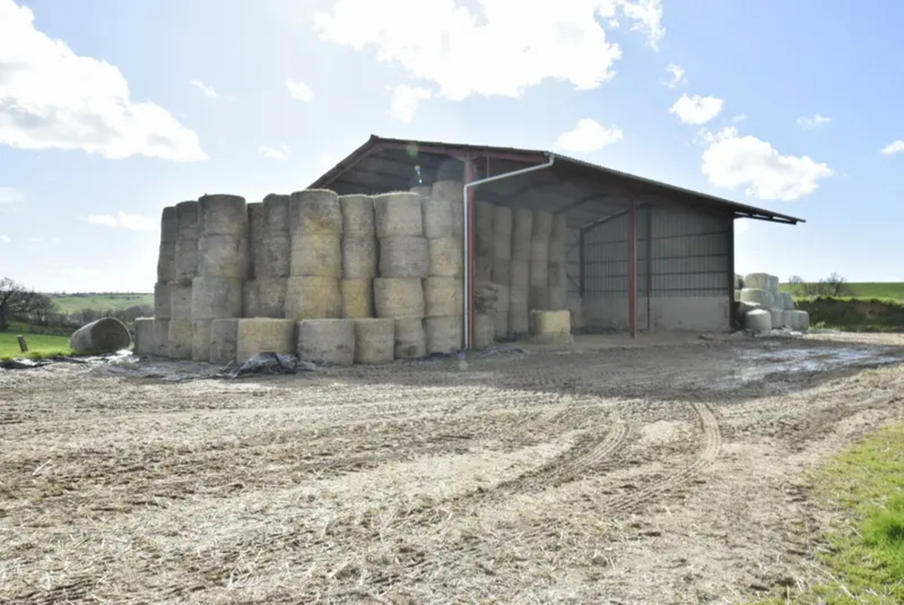 Photos 9 - Agricole - BELLE FERME RÉNOVÉE SUR 8 HA