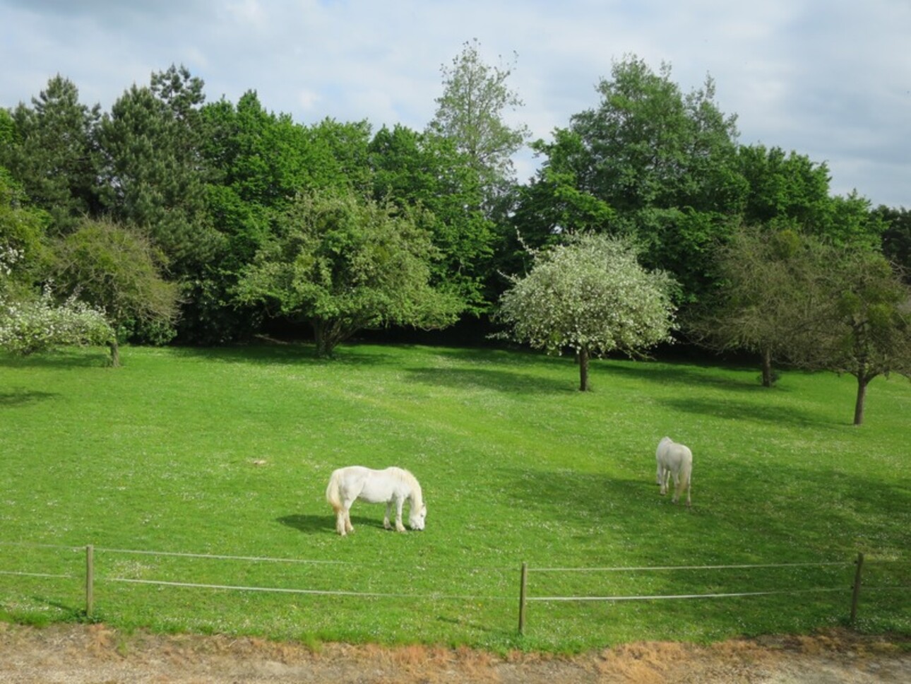 Photos 3 - Équestre - Dpt Eure (27), à vendre proche de LYONS LA FORET, corps de ferme, maison P8 de 269 m² - terrain 1ha50