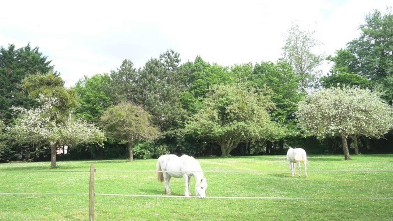 Photos 32 - Équestre - Dpt Eure (27), à vendre proche de LYONS LA FORET, corps de ferme, maison P8 de 269 m² - terrain 1ha50