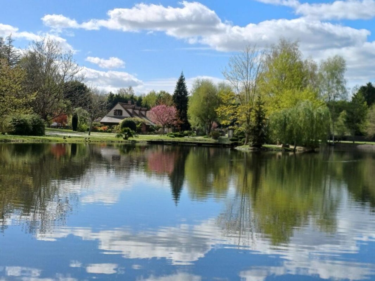 Photos 1 - Prestige - PROPRIETE EN SOLOGNE AVEC ETANG