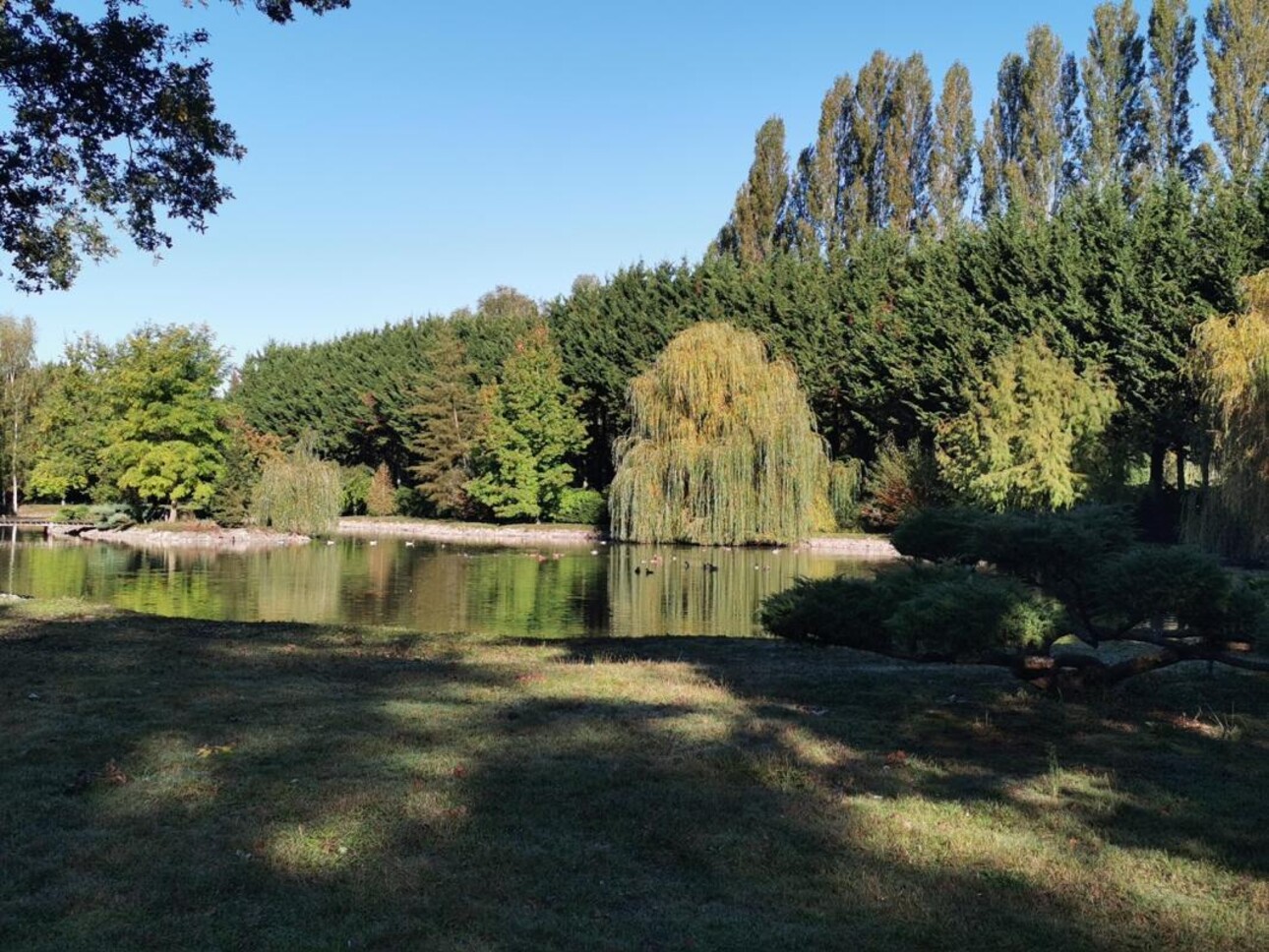 Photos 4 - Prestige - PROPRIETE EN SOLOGNE AVEC ETANG