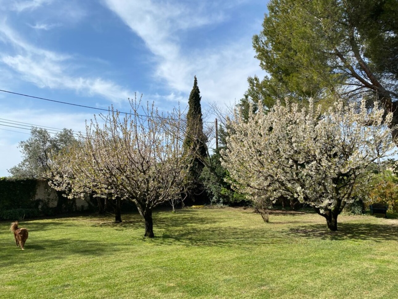 Photos 28 - Prestigious - Dpt Vaucluse (84), à vendre MAZAN propriété avec Mas de près de 300 m2, jardin paysagé, piscine et dépendances sur près de 14 500 m2