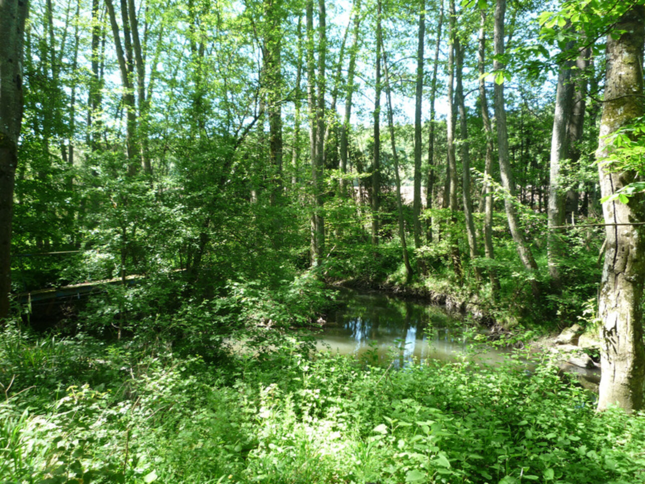 Photos 15 - Equestrian - Dpt Aisne (02),  BAULNE EN BRIE à vendre superbe propriété de 380 m2 habitables sur un terrain de 15 ha avec étang de 3 ha