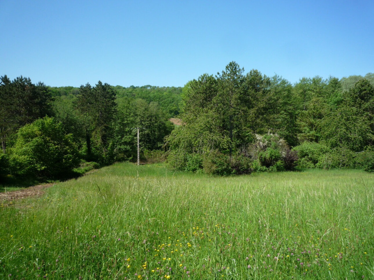 Photos 17 - Equestrian - Dpt Aisne (02),  BAULNE EN BRIE à vendre superbe propriété de 380 m2 habitables sur un terrain de 15 ha avec étang de 3 ha