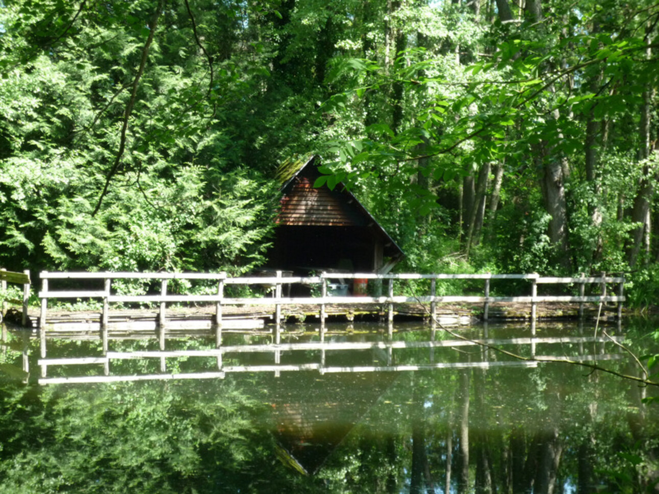 Photos 18 - Équestre - Dpt Aisne (02),  BAULNE EN BRIE à vendre superbe propriété de 380 m2 habitables sur un terrain de 15 ha avec étang de 3 ha