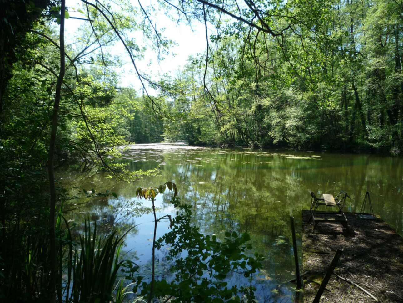 Photos 28 - Équestre - Dpt Aisne (02),  BAULNE EN BRIE à vendre superbe propriété de 380 m2 habitables sur un terrain de 15 ha avec étang de 3 ha