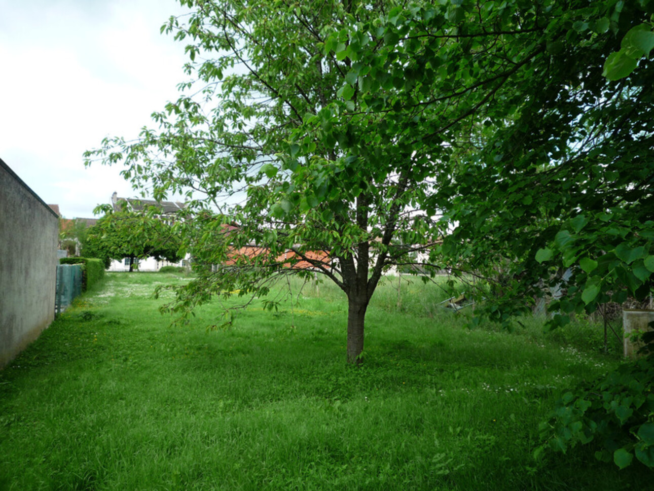 Photos 29 - Equestrian - Dpt Aisne (02),  BAULNE EN BRIE à vendre superbe propriété de 380 m2 habitables sur un terrain de 15 ha avec étang de 3 ha