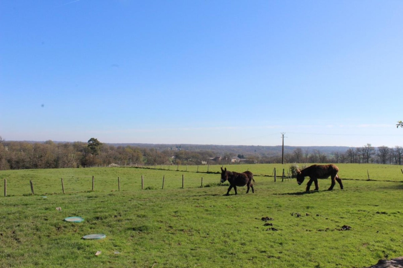 Photos 15 - Touristique - Domaine