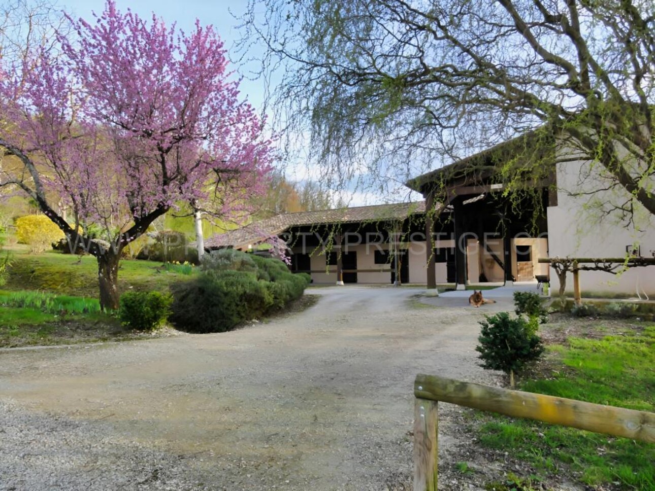 Photos 17 - Equestrian - LOT ET GARONNE CHATEAU XVème 8,5 HECTARES