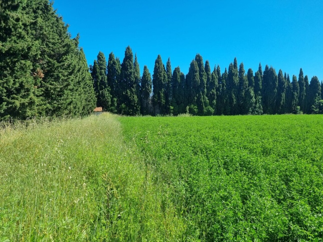 Photos 1 - Agricole - Dpt Bouches du Rhône (13), à vendre GRAVESON terrain