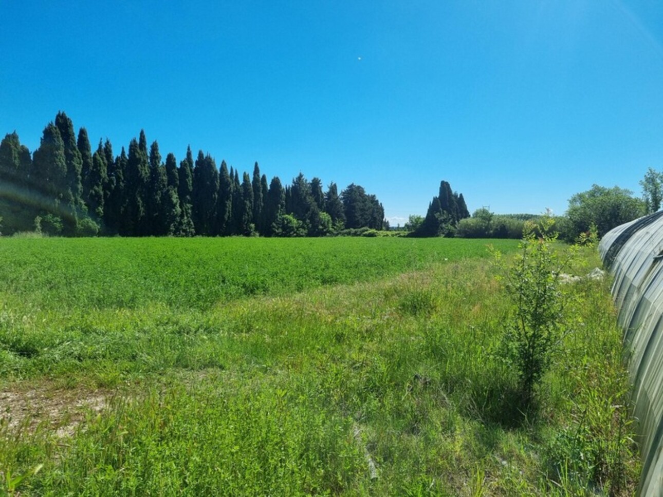 Photos 3 - Agricole - Dpt Bouches du Rhône (13), à vendre GRAVESON terrain