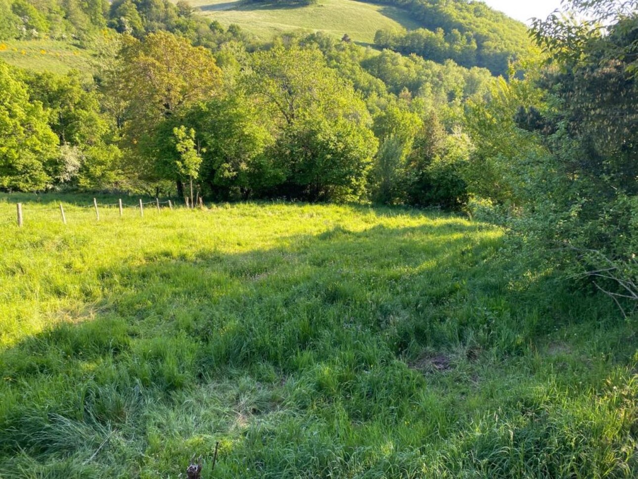 Photos 5 - Touristique - Corps de ferme