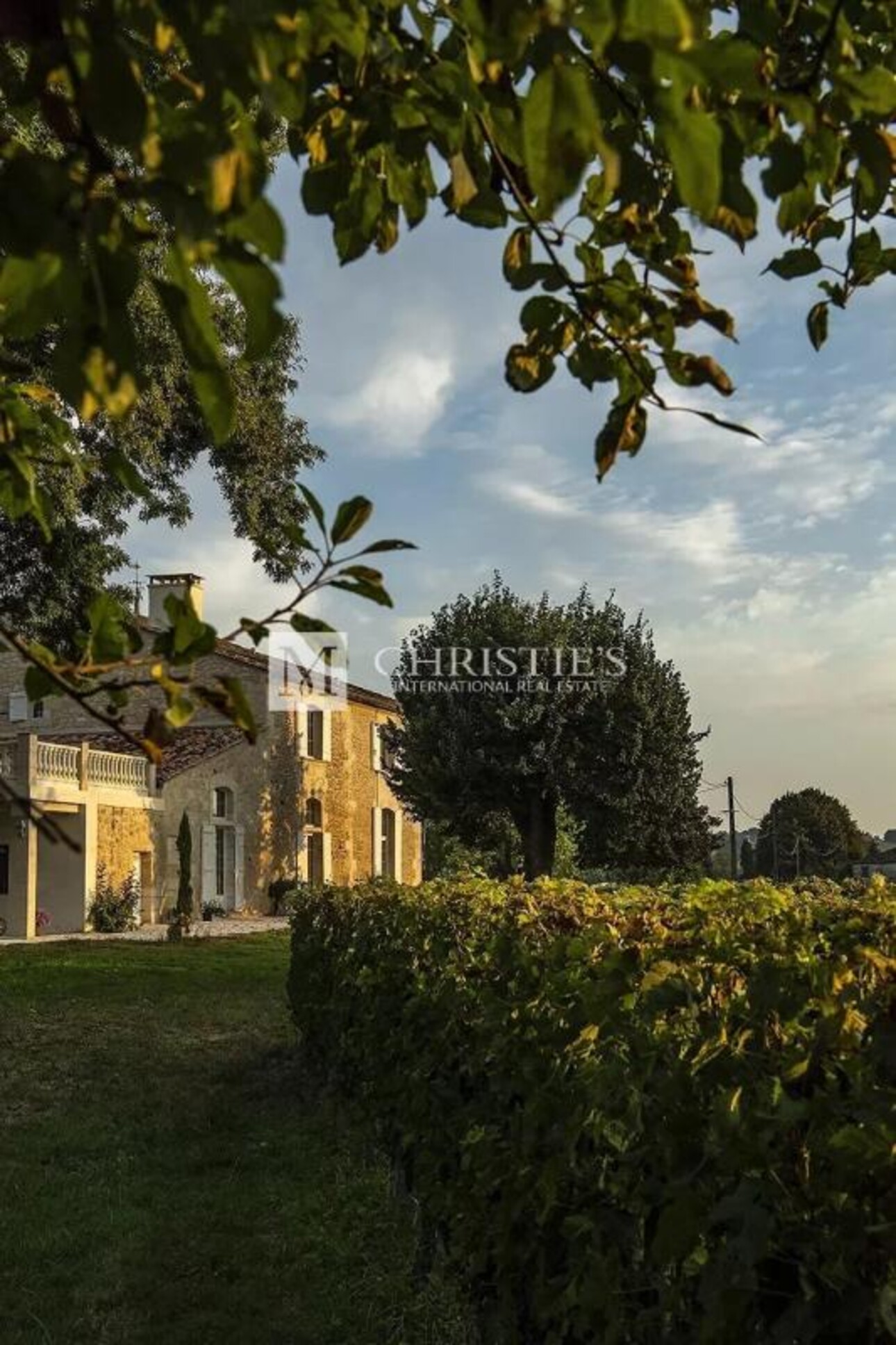 Photos 13 - Vineyard - For sale beautiful turnkey lifestyle passion vineyard estate on the banks of the Dordogne River clos