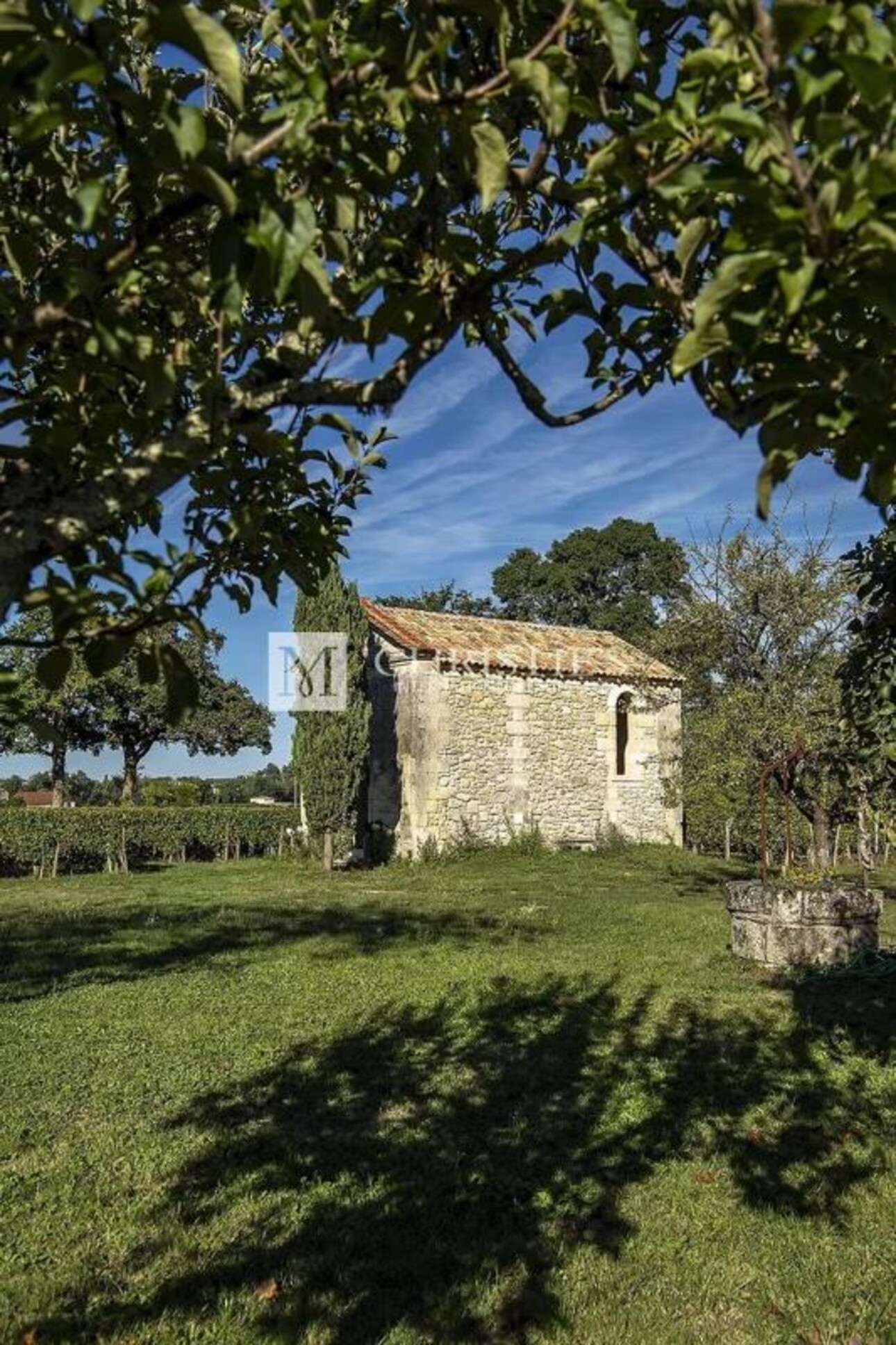 Photos 16 - Vineyard - For sale beautiful turnkey lifestyle passion vineyard estate on the banks of the Dordogne River clos