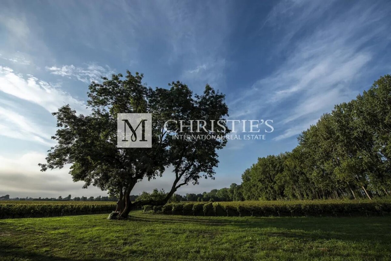 Photos 19 - Vineyard - For sale beautiful turnkey lifestyle passion vineyard estate on the banks of the Dordogne River clos