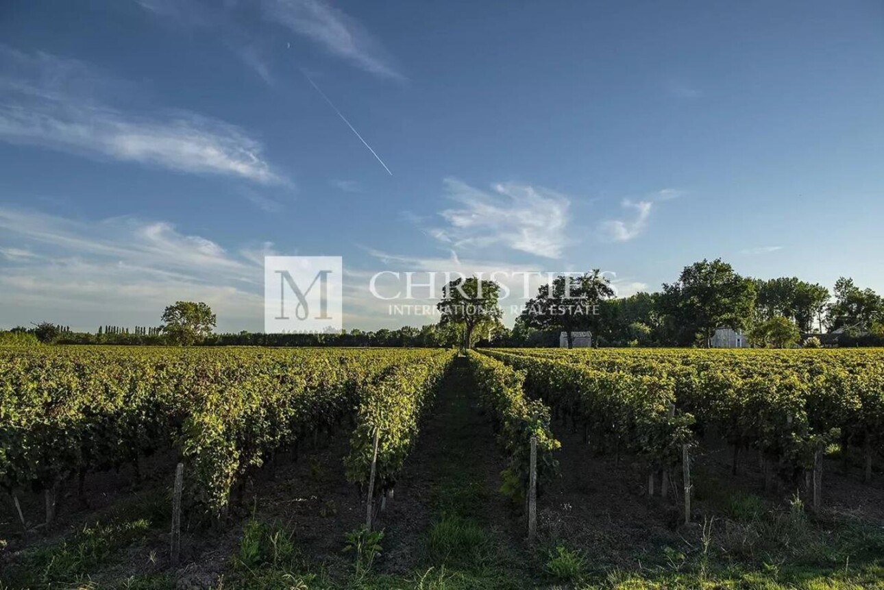 Photos 22 - Viticole - A vendre beau domaine viticole clé en main sur les rives de la Dordogne à proximité de Saint-Emilion