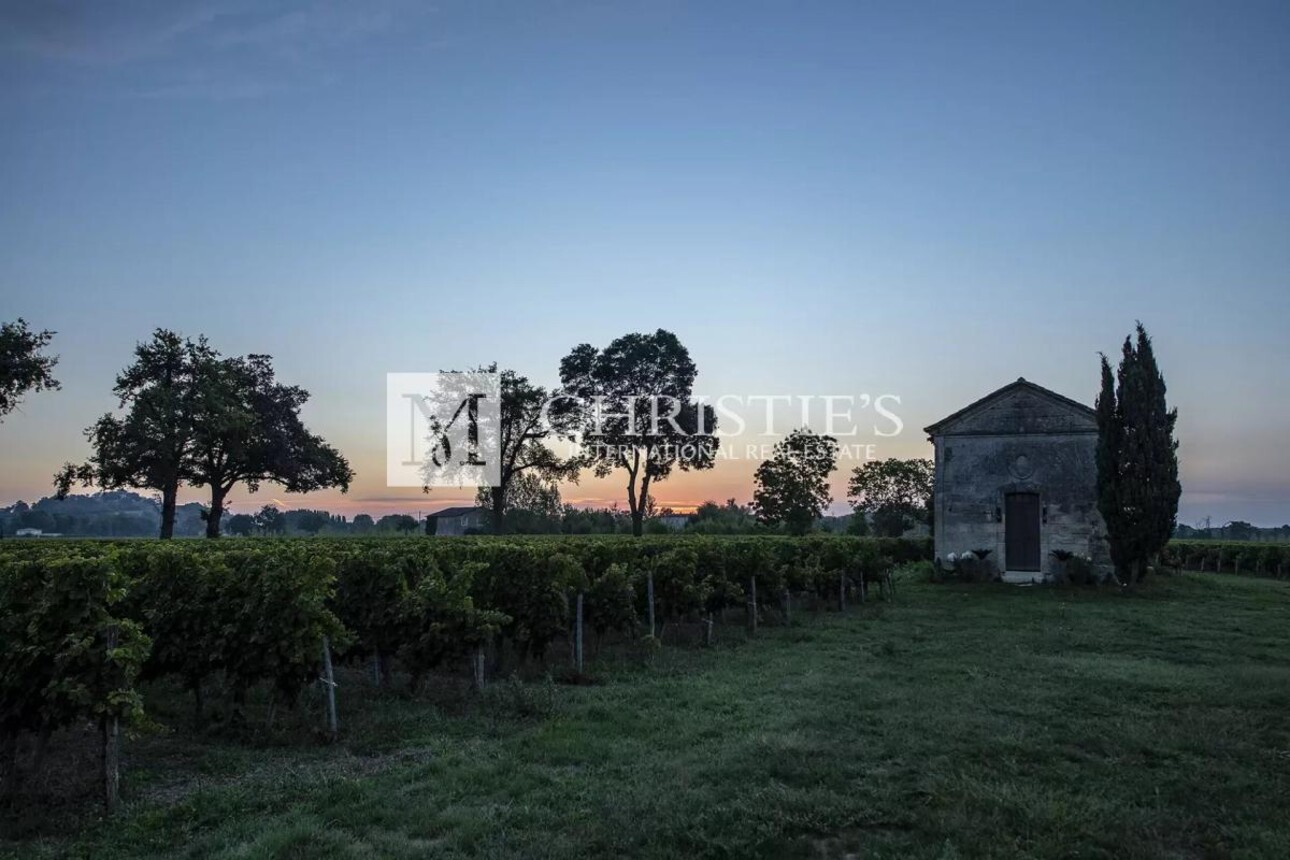 Photos 23 - Vineyard - For sale beautiful turnkey lifestyle passion vineyard estate on the banks of the Dordogne River clos