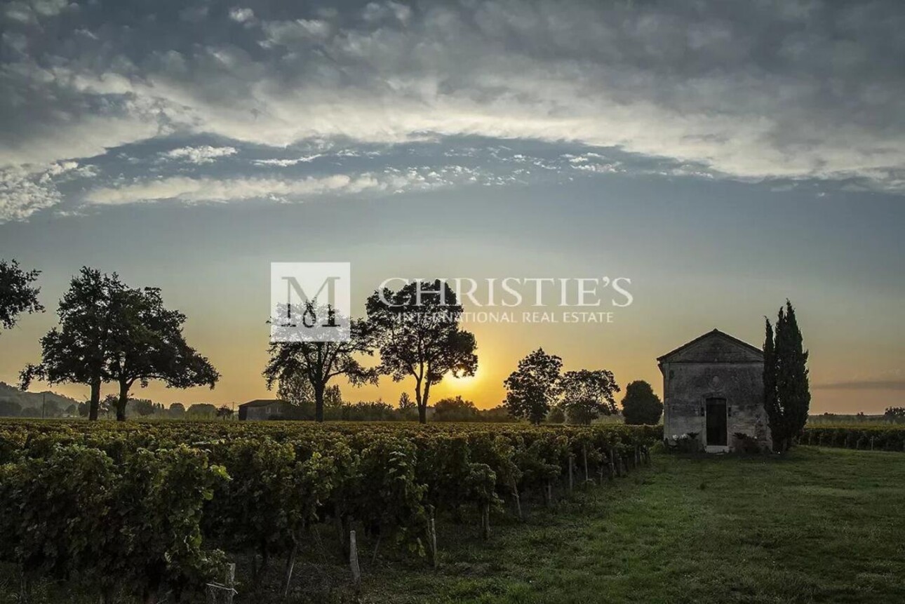 Photos 24 - Viticole - A vendre beau domaine viticole clé en main sur les rives de la Dordogne à proximité de Saint-Emilion