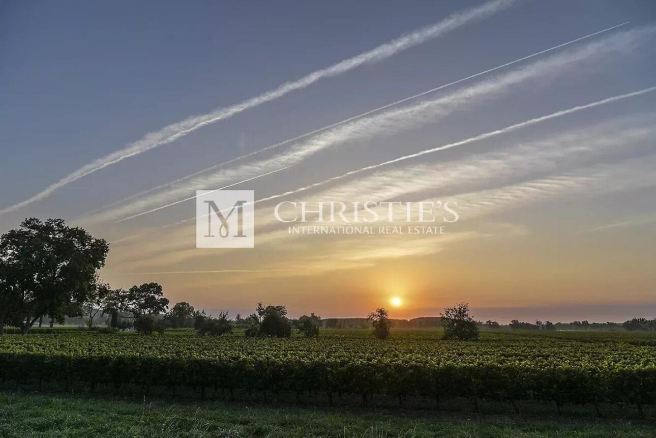 Photos 25 - Viticole - A vendre beau domaine viticole clé en main sur les rives de la Dordogne à proximité de Saint-Emilion