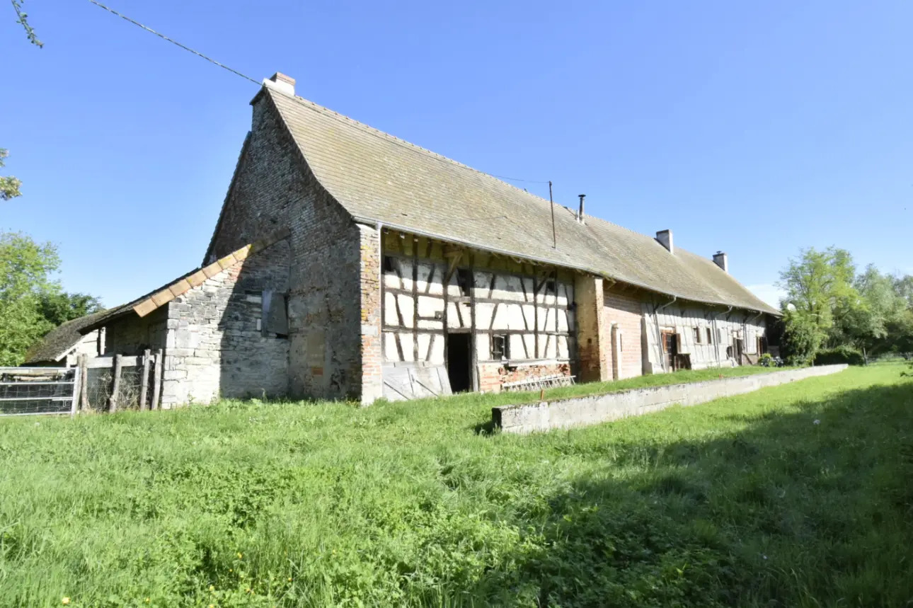 Photos 1 - Touristique - BELLE FERME BRESSANE SUR 5 HECTARES