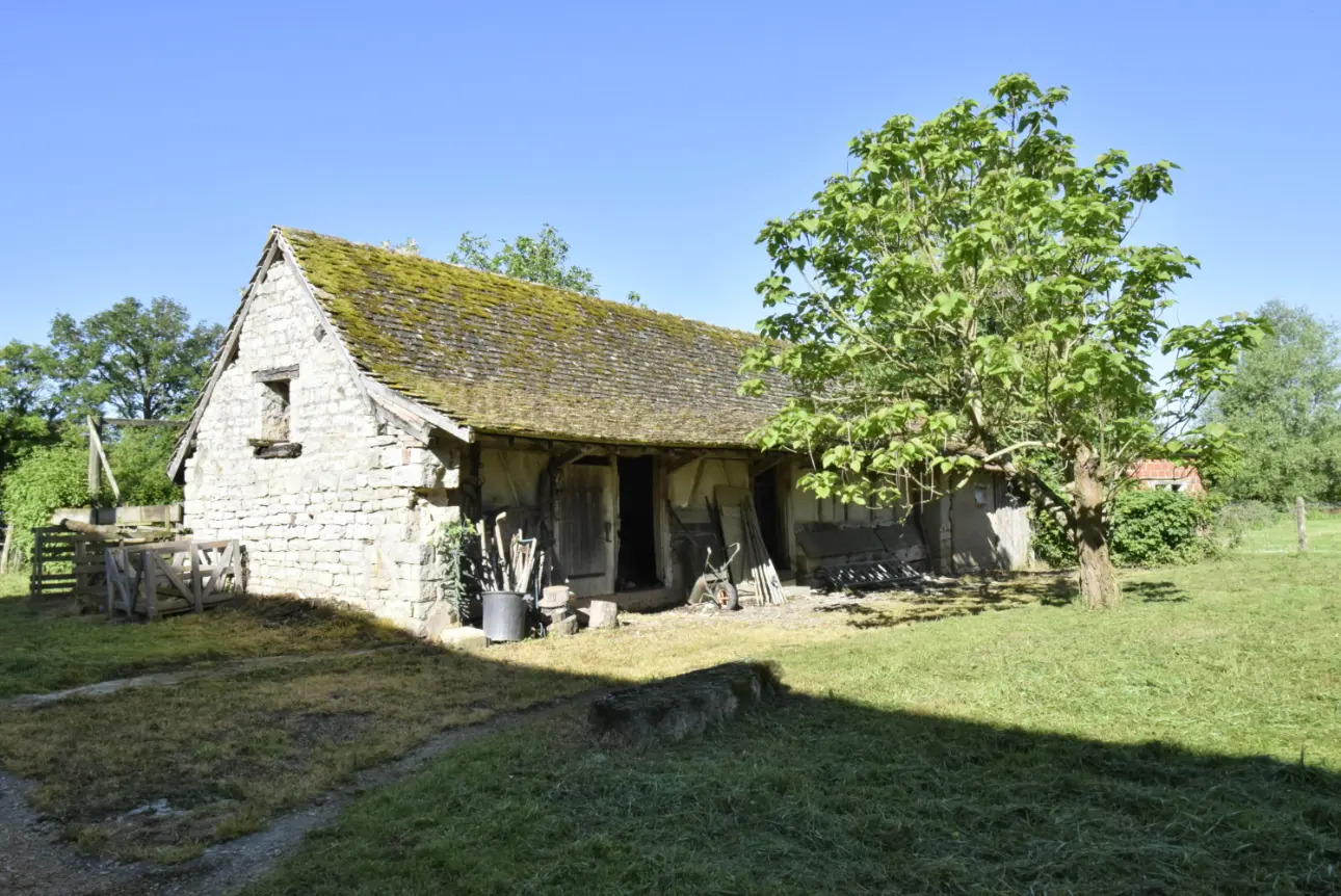 Photos 4 - Touristique - BELLE FERME BRESSANE SUR 5 HECTARES