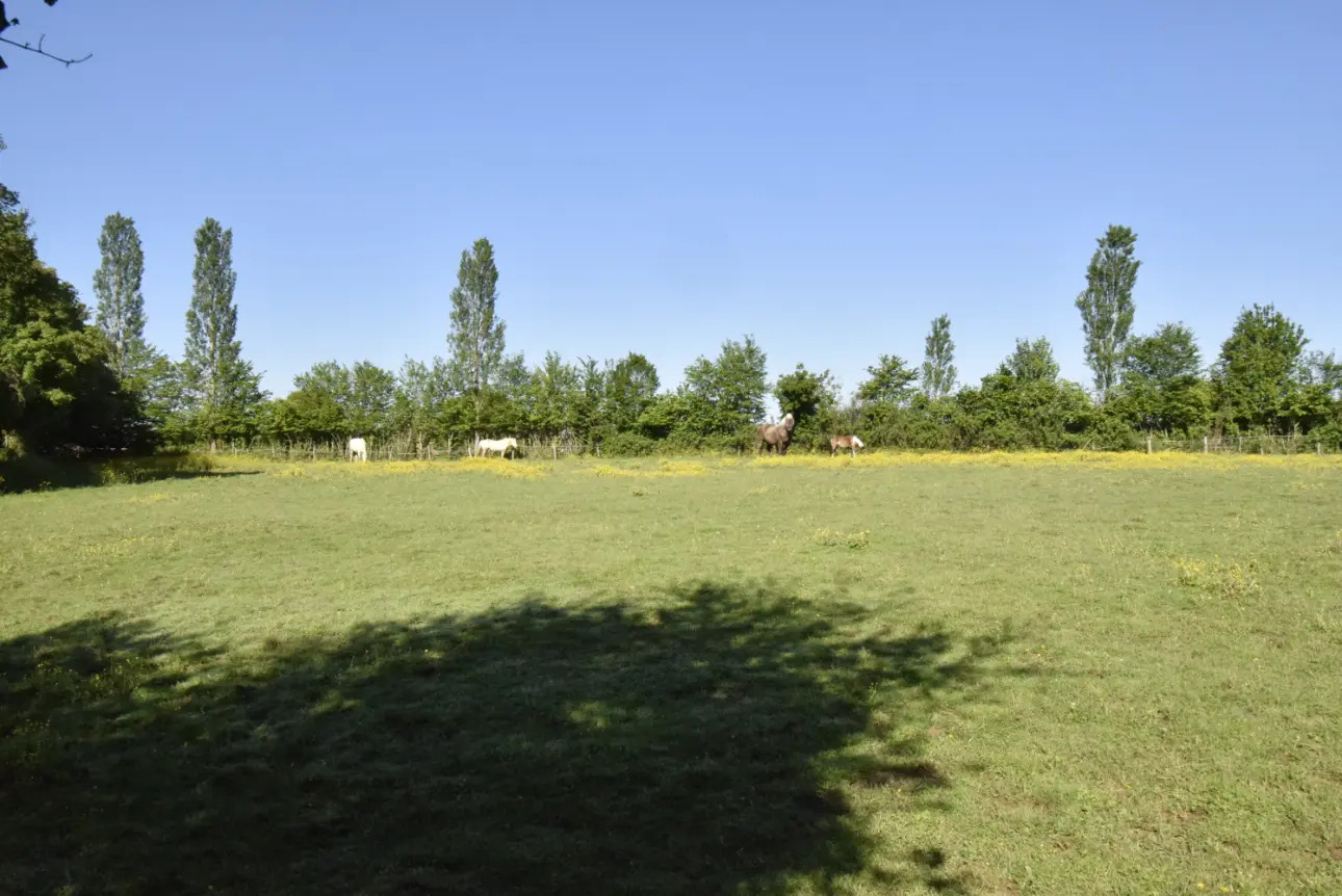 Photos 5 - Tourist - BELLE FERME BRESSANE SUR 5 HECTARES