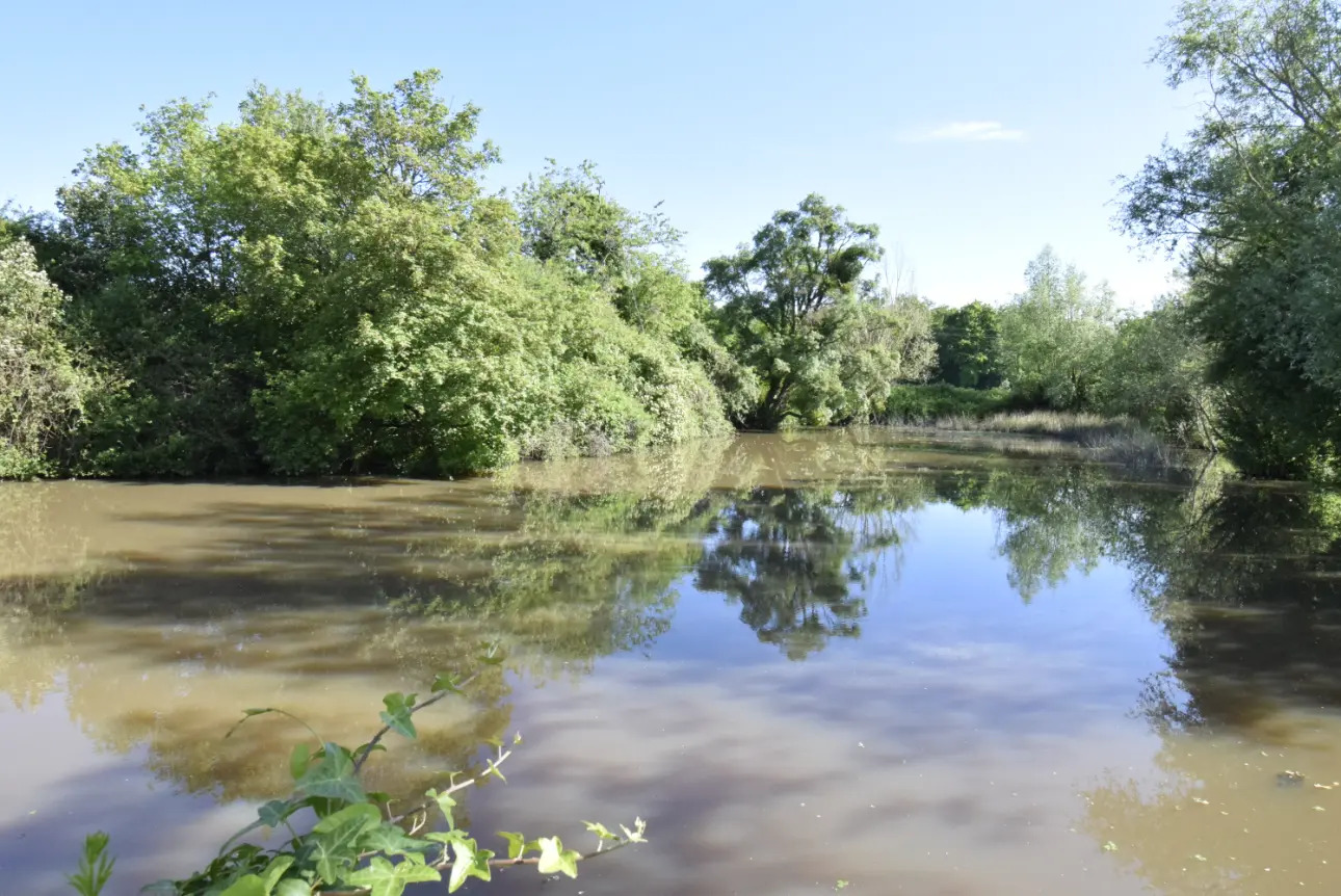 Photos 6 - Touristique - BELLE FERME BRESSANE SUR 5 HECTARES