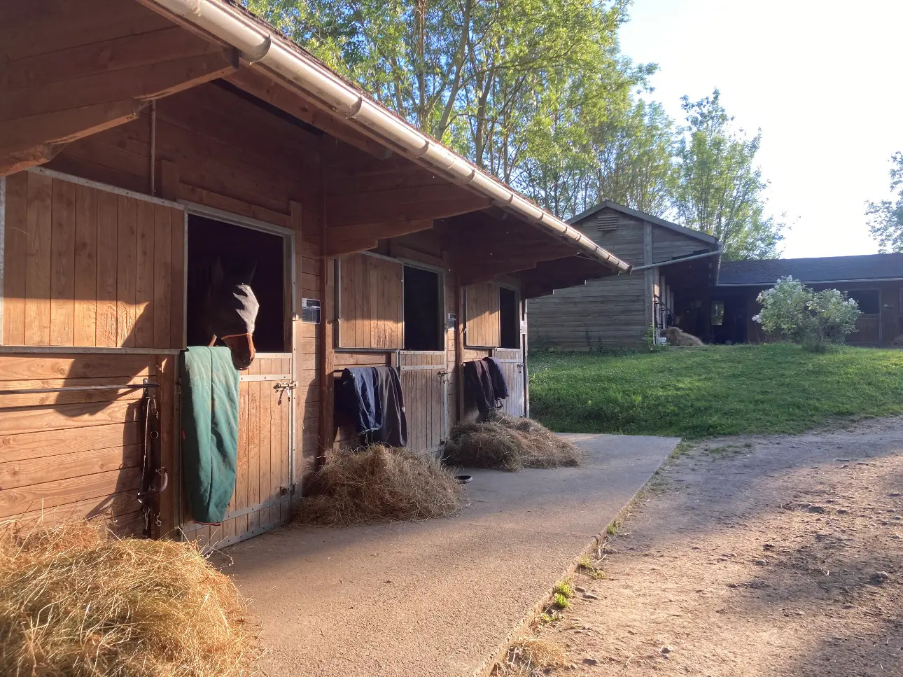 Photos 11 - Équestre - Domaine avec 2 maisons et installations completes sur 5ha