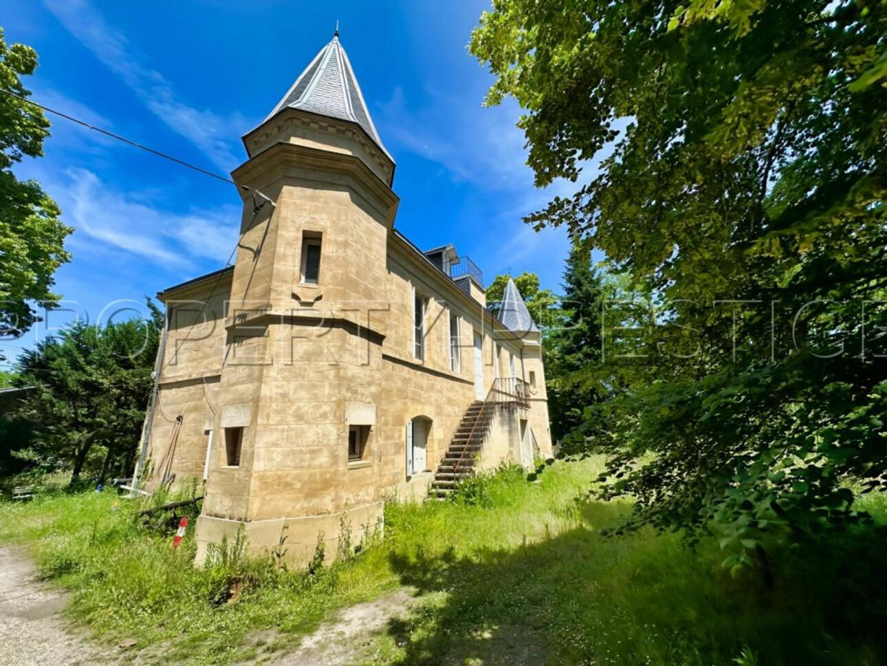 Photos 5 - Prestigious - BORDEAUX MANOIR 320 M² 1,5 HA