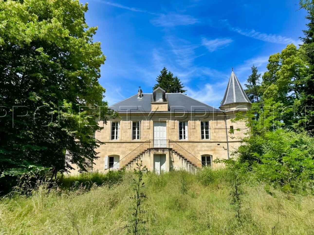 Photos 9 - Prestigious - BORDEAUX MANOIR 320 M² 1,5 HA