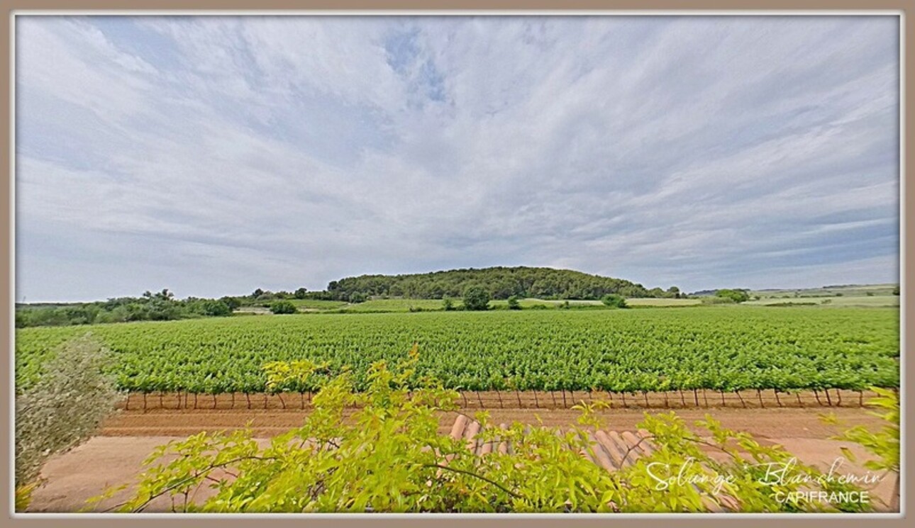 Photos 2 - Agricole - Dpt Hérault (34), à vendre CAZOULS LES BEZIERS propriété 7ha 2 maisons  - Terrain de 7,32 Ha- champs, vignes, terres maraichères