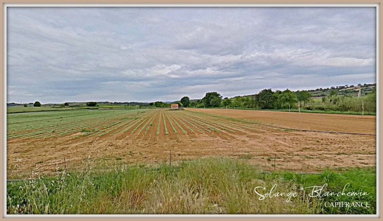 Photos 13 - Agricole - Dpt Hérault (34), à vendre CAZOULS LES BEZIERS propriété 7ha 2 maisons  - Terrain de 7,32 Ha- champs, vignes, terres maraichères