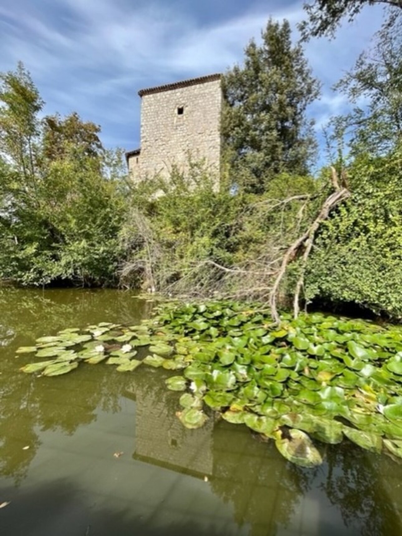 Photos 11 - Prestige - Dpt  (32) : ELEGANT CHATEAU XIX, bases médievales avec douves, piscine  sur 9100m2 jardin clos, SANS TRAVAUX