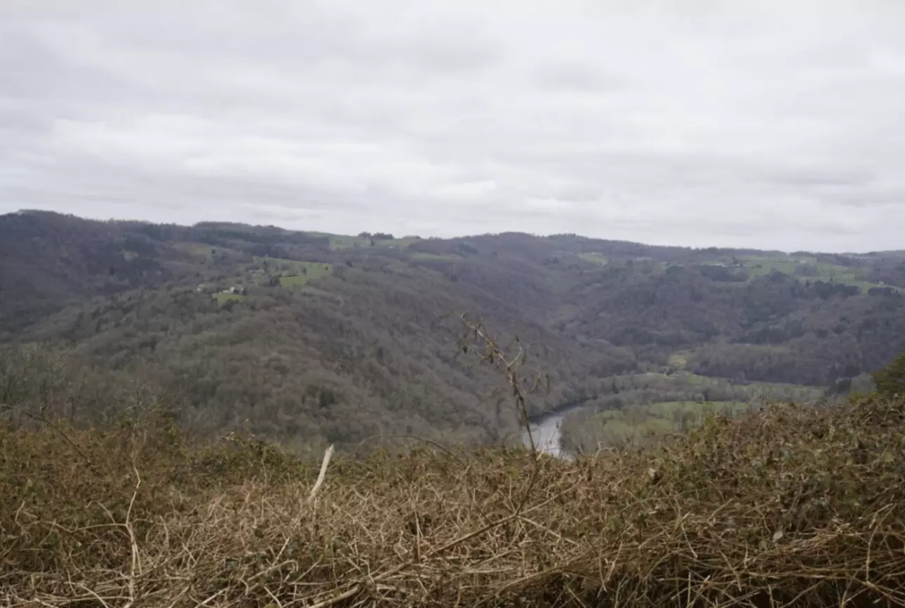 Photos 1 - Forest - Forêt de feuillus de 7 hectares au cœur de la vallée de la Dordogne