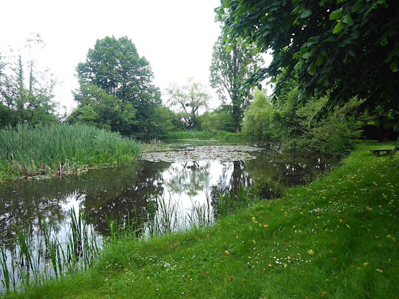 Photos 13 - Prestigious - 15th century manor house with outbuildings and swimming poo