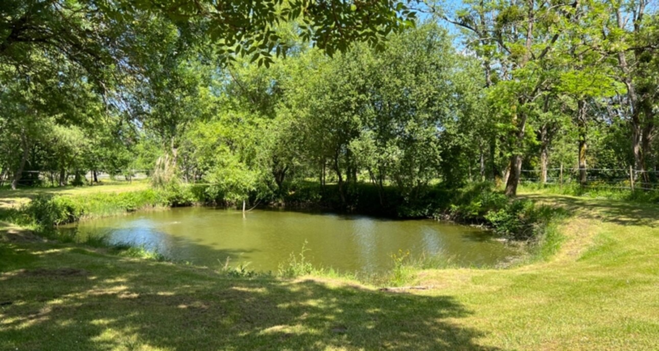 Photos 29 - Forestière - Propriété en pierre rénovée de 7ch sur 456m2 proche de Bordeaux