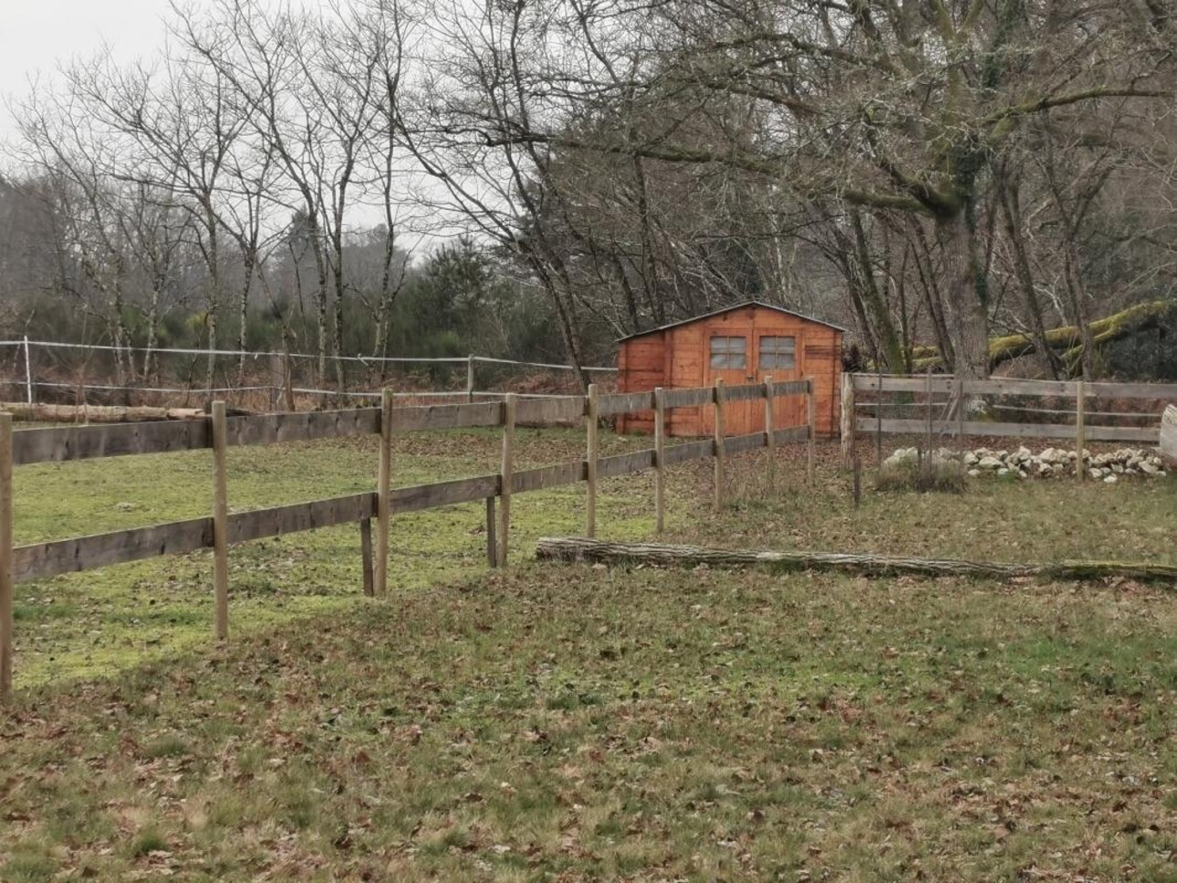 Photos 16 - Équestre - PROPRIÉTÉ SUR 2.6HA AVEC LONGÉRE