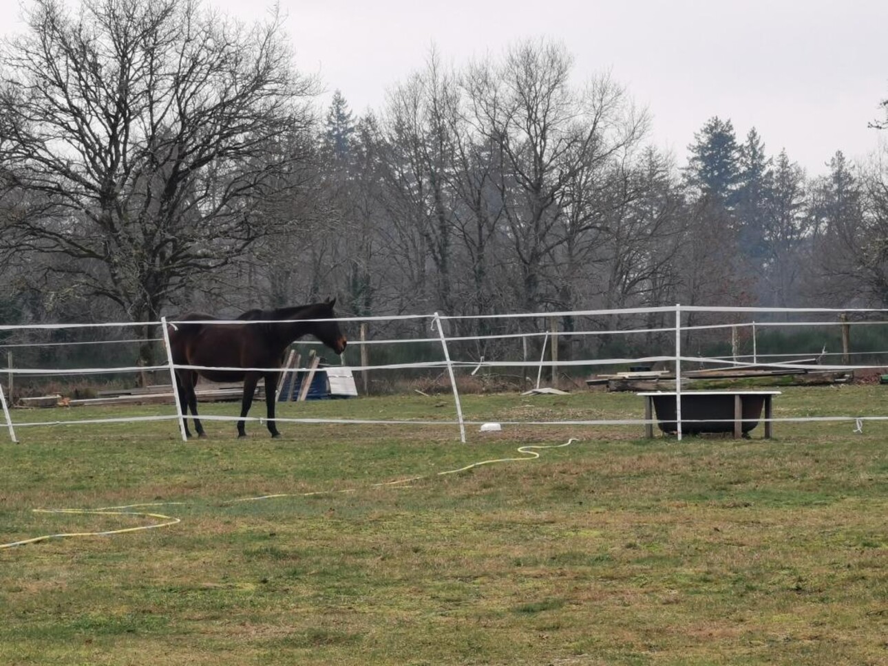 Photos 17 - Équestre - PROPRIÉTÉ SUR 2.6HA AVEC LONGÉRE