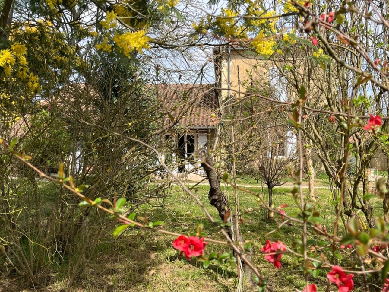 Photos 31 - Prestige - Dpt Gers (32), à vendre AUCH 20min, authentique PROPRIETE GASCONNE composée d'une MAISON de MAITRE, d'un gite independant, dépendances, piscine, 1.5ha clos et paysagé , SANS VIS A VIS, au CALME, proche de FLEURANCE et LECTOURE